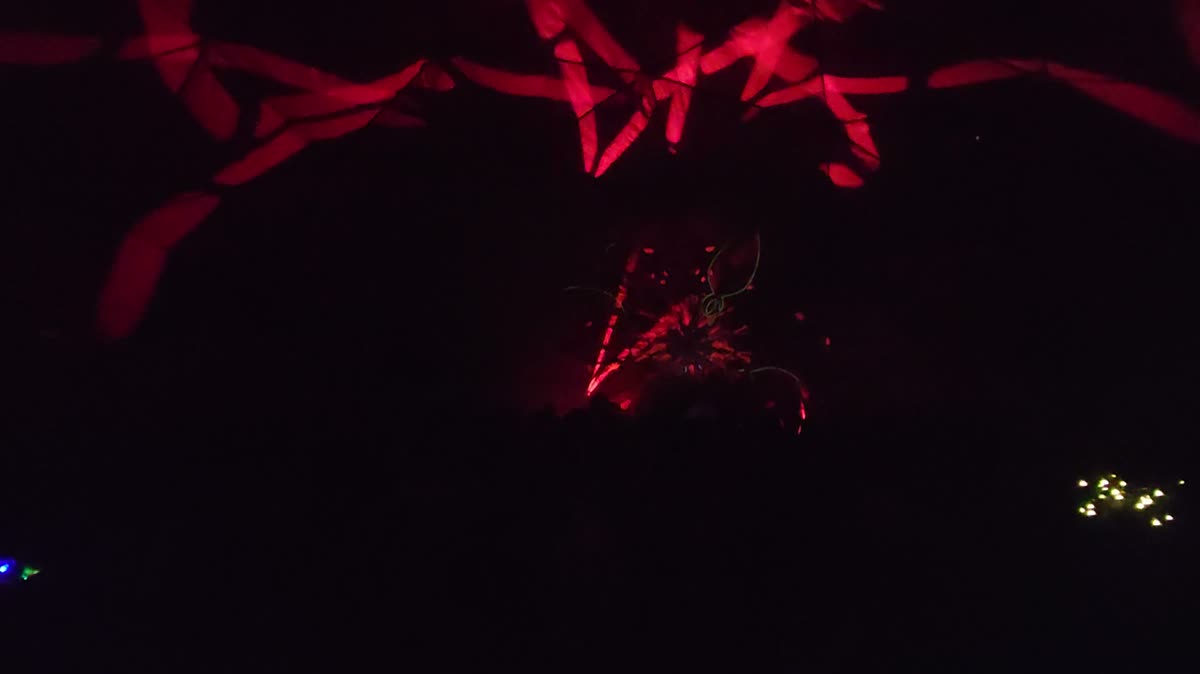 Medicine Festival , UK